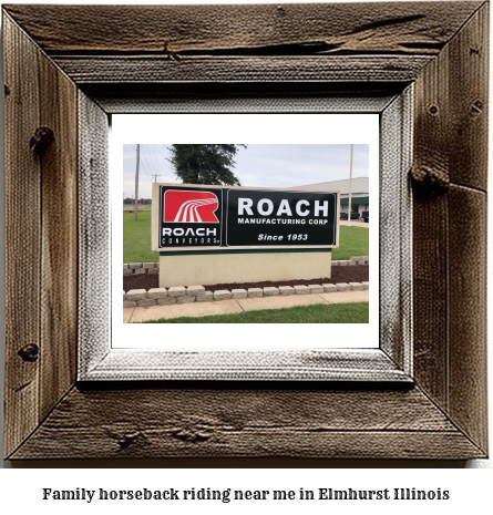 family horseback riding near me in Elmhurst, Illinois